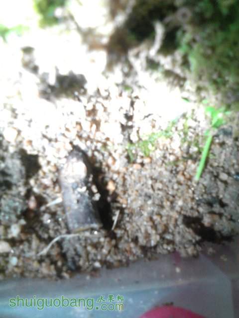 YP20130809233923.jpeg