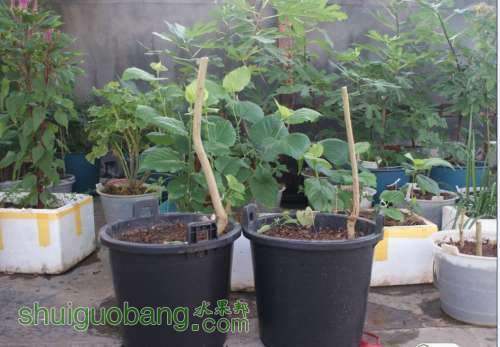 QQ��ͼ20130810135325.jpg