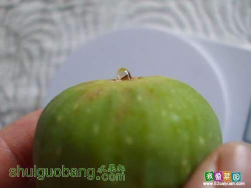 01.jpg
