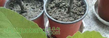 QQ��ͼ20130811091145.jpg