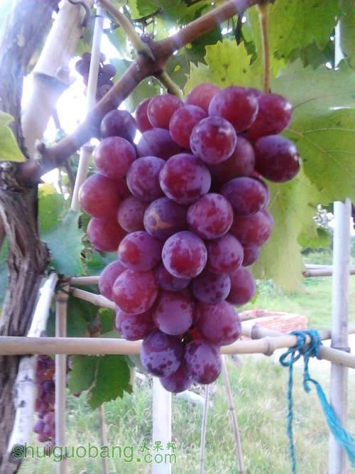 2013.8.11ľõ-10.jpg