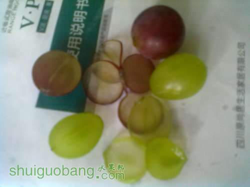 츻ʿ   ޷