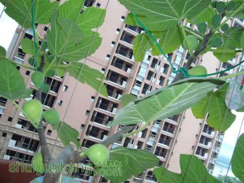 DSC05315 ().JPG