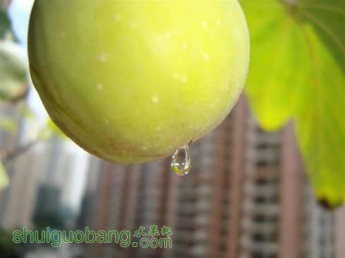 DSC05558 ().JPG