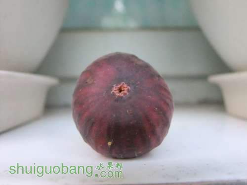 DSCF4838.JPG