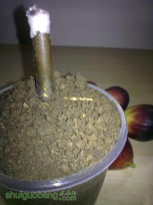 2013.6.27 004.jpg
