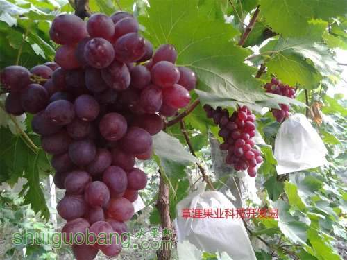 20130818_070949.jpg
