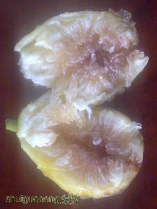20130818282.jpg