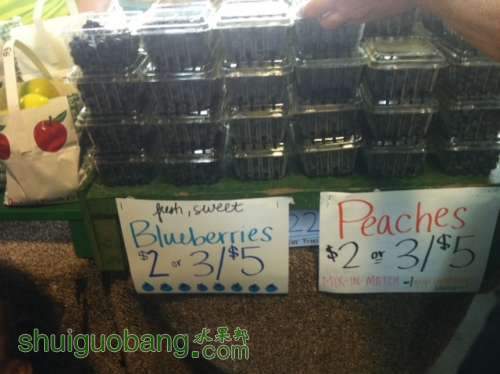 photo(9).JPG