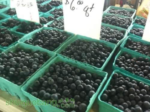 photo(10).JPG
