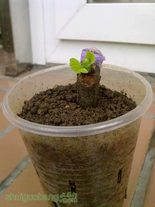 2013.6.26 007.jpg