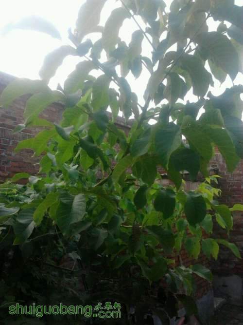 UC_Photo_0.jpeg