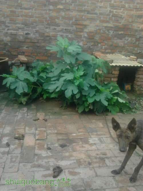 UC_Photo_0.jpeg