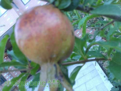 WP_001427.jpg