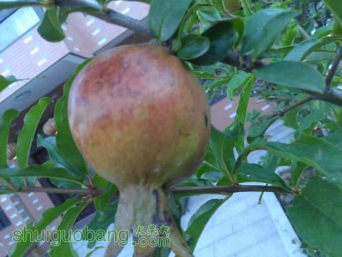 WP_001428.jpg
