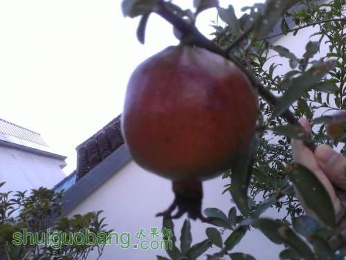 WP_001425.jpg