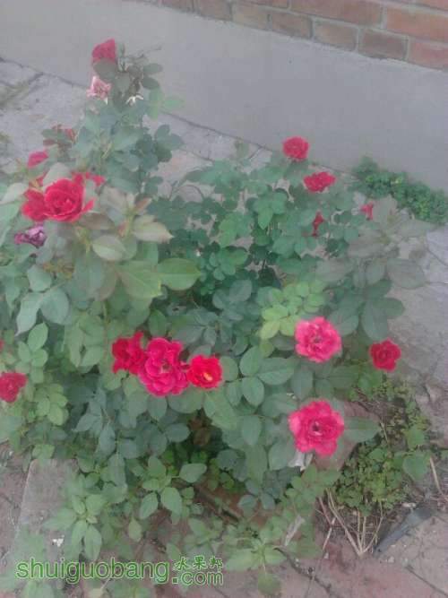 UC_Photo_0.jpeg