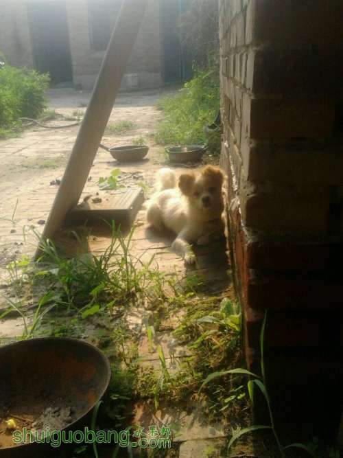 UC_Photo_0.jpeg