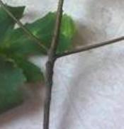 QQͼƬ20130820202547.jpg