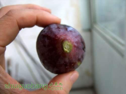 DSCF4857.JPG