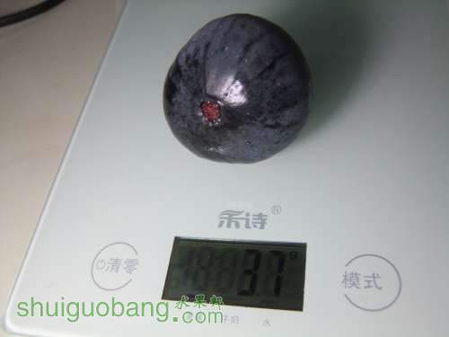 DSCF4864.JPG