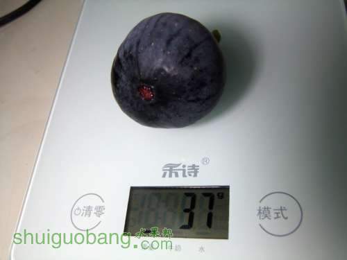 DSCF4865.JPG
