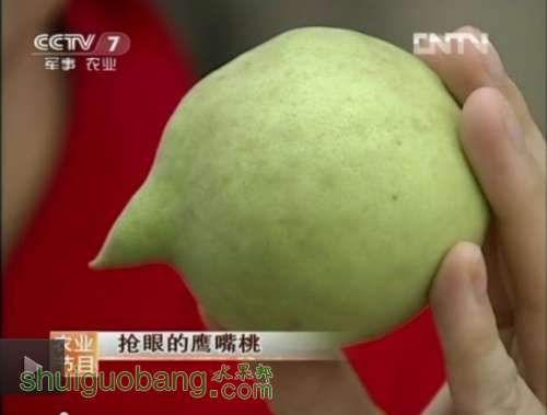 20120903045925338.jpg