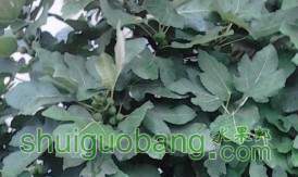 QQͼƬ20130822174846.jpg