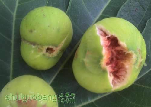 QQͼƬ20130822190557.jpg