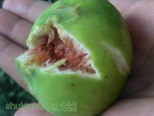 QQͼƬ20130822190602.jpg