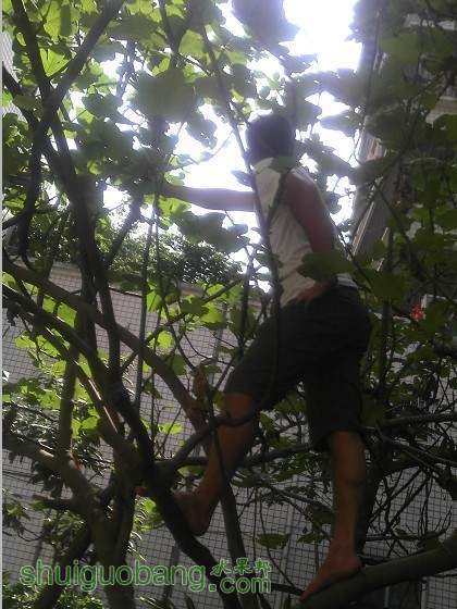 QQͼƬ20130822190447.jpg