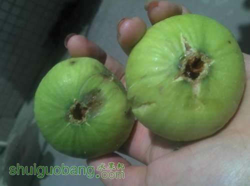 QQͼƬ20130822190436.jpg