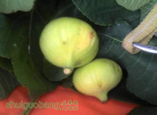 QQͼƬ20130822190511.jpg