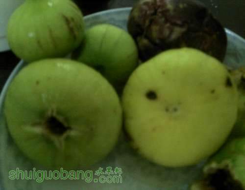 QQͼƬ20130822190517.jpg