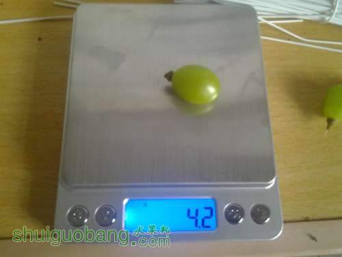 20130818_132440.jpg