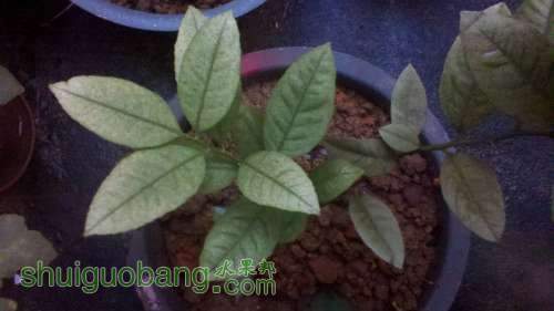 2013-08-03_18-53-42_843.jpg