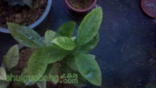 2013-08-03_18-53-49_718.jpg