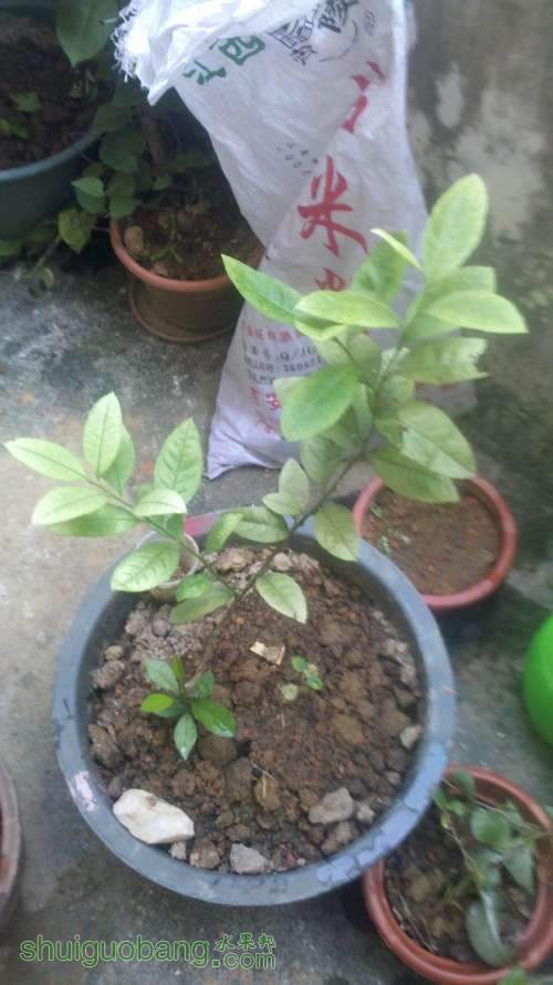 2013-08-12_17-17-01_923.jpg