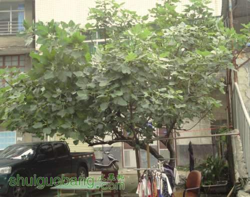 QQͼƬ20130803162201.jpg