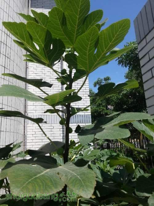 20130803_102053.jpg