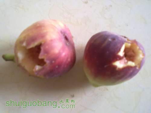 201308262163.jpg