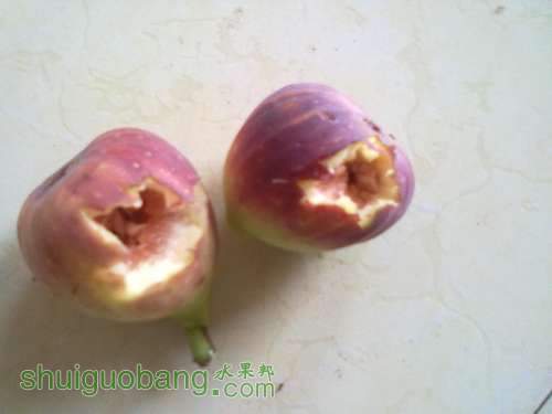 201308262164.jpg