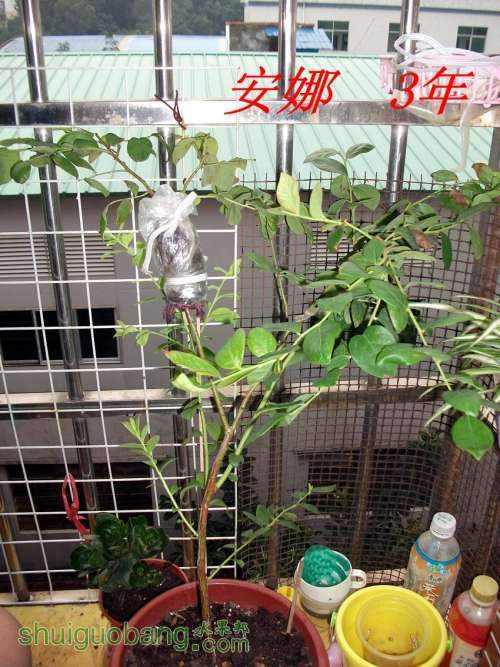 DSCF3208_����.jpg