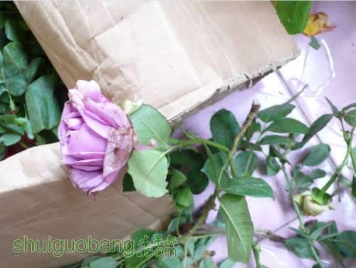 QQͼƬ20130828220933.jpg