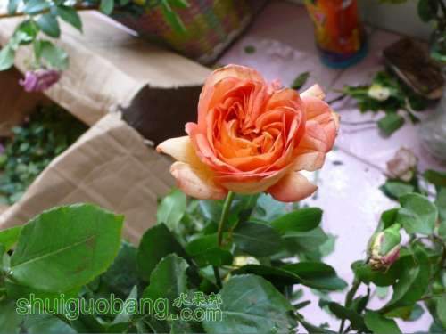QQͼƬ20130828220953.jpg