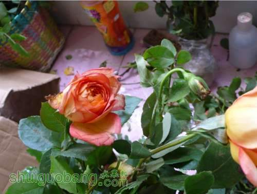 QQͼƬ20130828221015.jpg