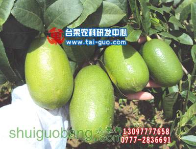 20111613477.jpg