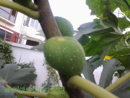 20130830_144148.jpg