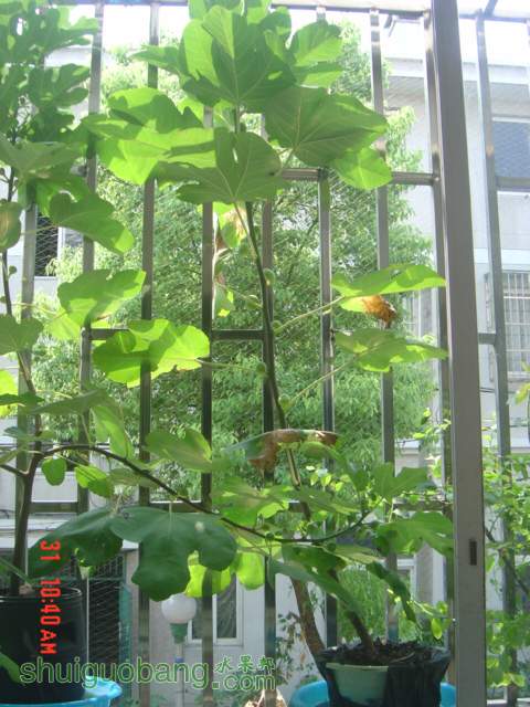 DSC01108.JPG