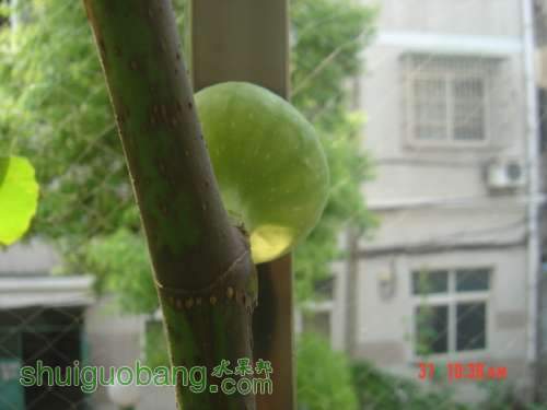 DSC01102.JPG